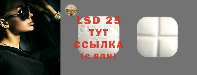 ECSTASY Коряжма