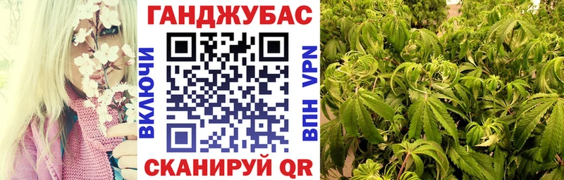 даркнет сайт  Ессентуки  Бошки марихуана план 